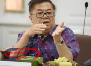 Setelah Freeport Kuasai Tambang Tembaga dan Emas, AS Incar Nikel