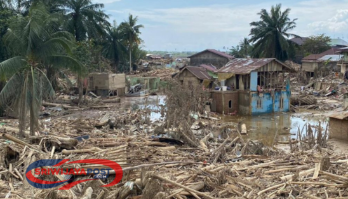 Gubernur Mualem Larang Pengambilan Kayu Banjir Bandang di Aceh