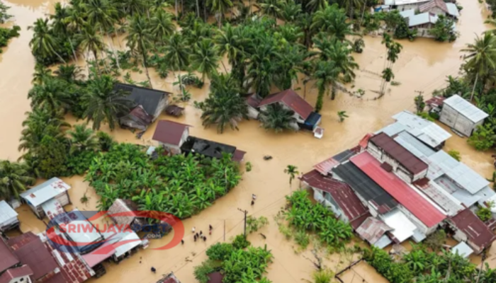 BMKG Peringatkan Cuaca Ekstrem di Sumsel, 10 Daerah Berisiko Longsor dan Banjir