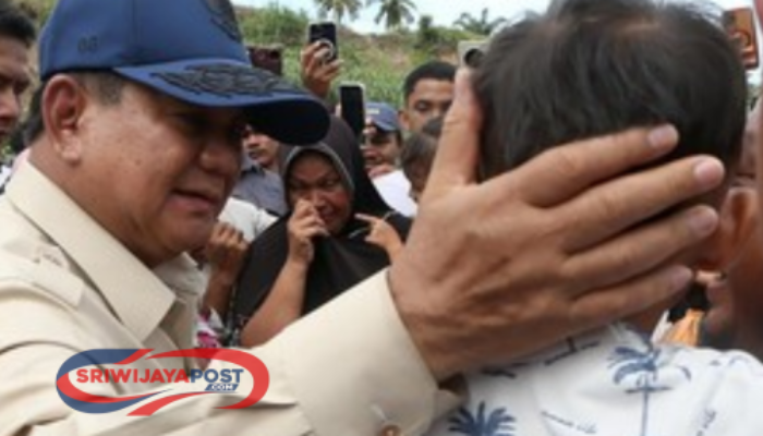 Prabowo Minta Pemda Waspada: Kita Tak Boleh Tebang Pohon Sembarangan