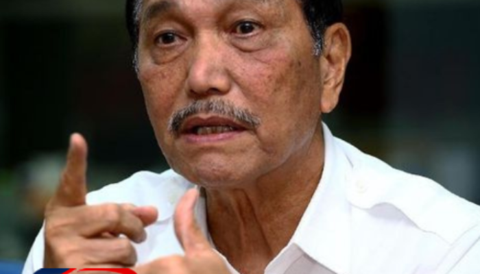 Luhut Buka-bukaan soal Kepemilikan Saham di Perusahaan RI, Simak Ini Penjelasannya!